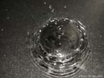  Water Drops 